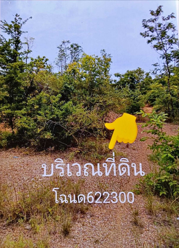 ที่ดินเปล่า หนองบัวลำภู เมืองหนองบัวลำภู โพธิ์ชัย 210000