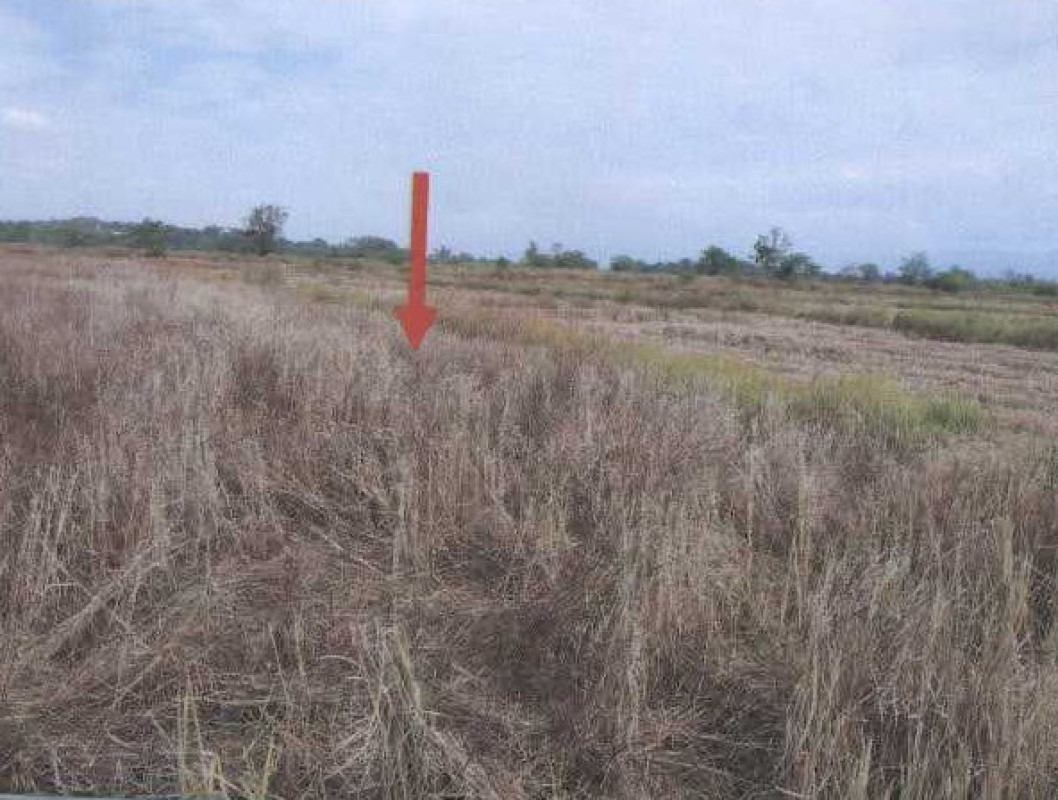 Residential land/lot Chiang Rai Phaya Mengrai Mengrai 322000