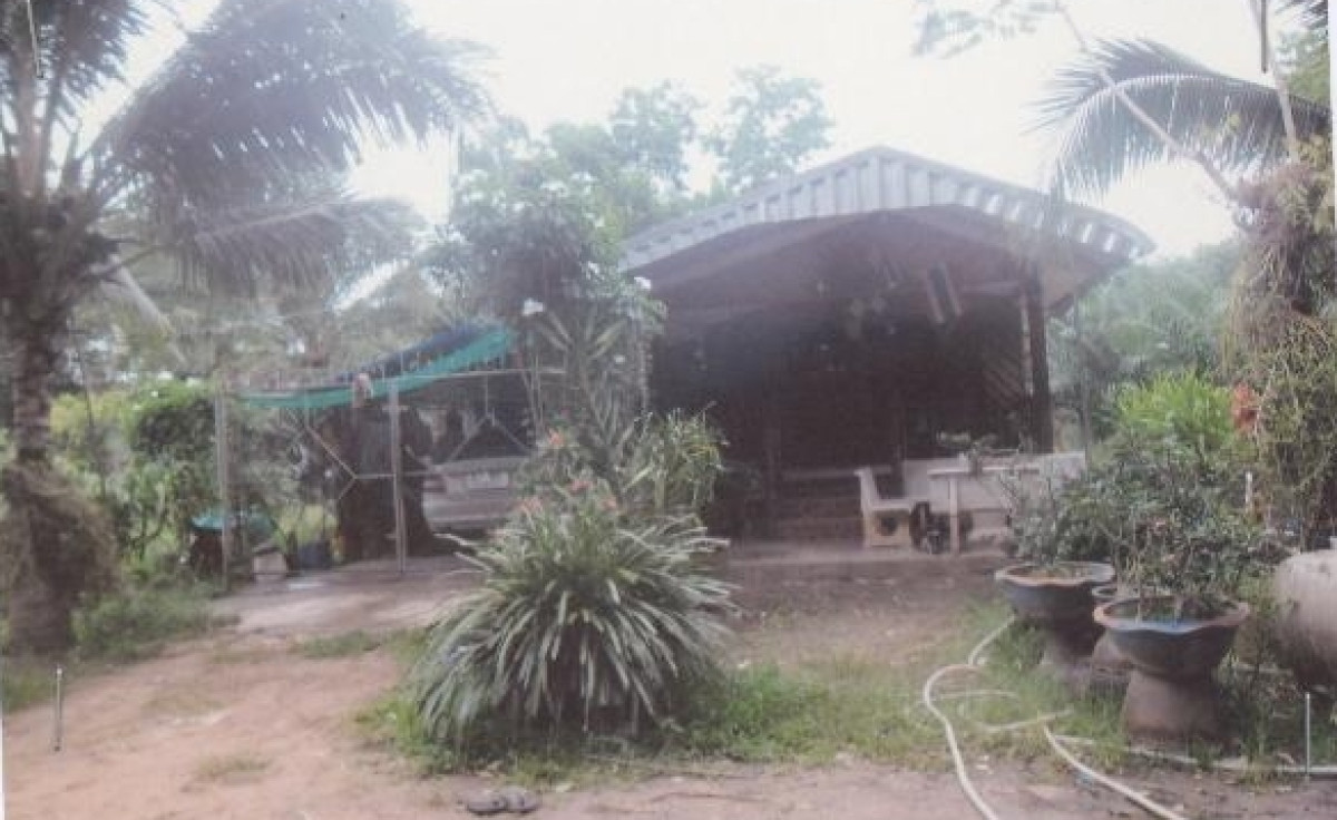Residential land/lot Chumphon Pathio Don Yang 230000