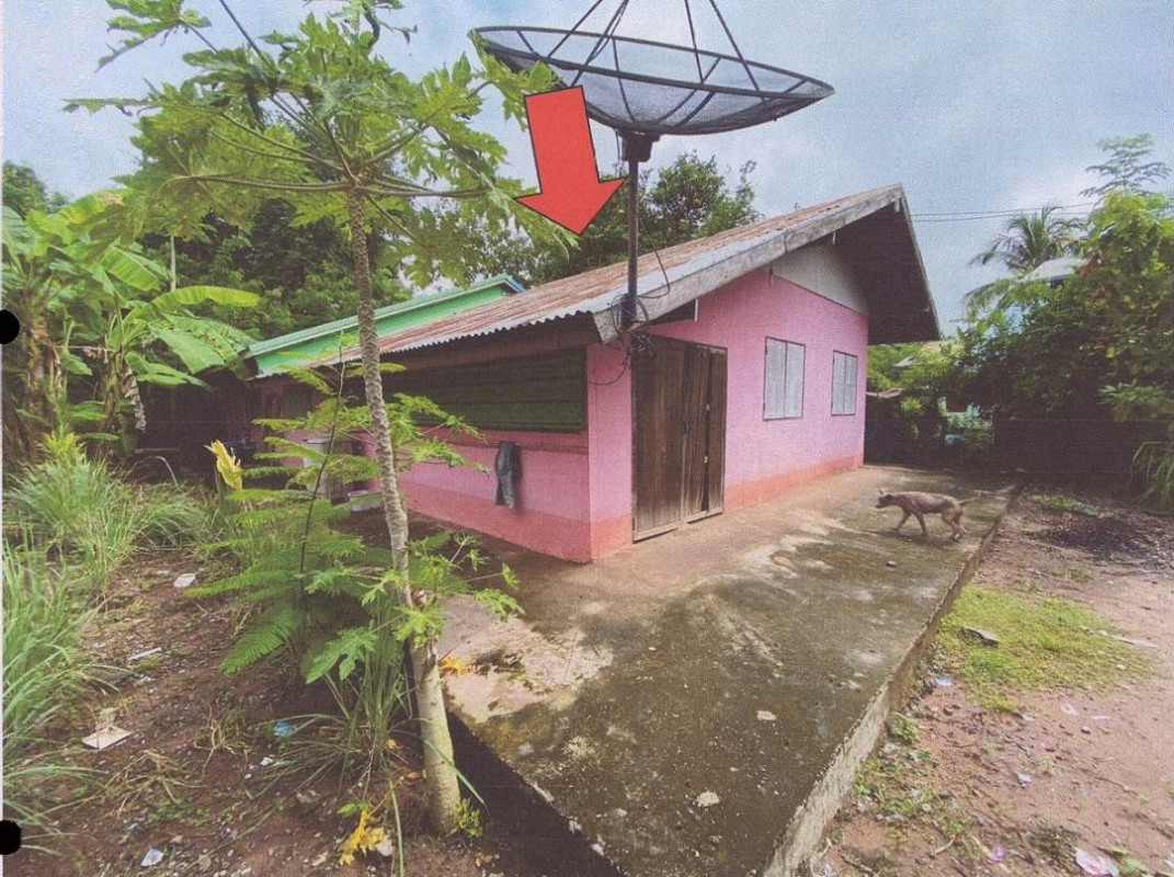 บ้านเดี่ยว หนองบัวลำภู ศรีบุญเรือง เมืองใหม่ 305960
