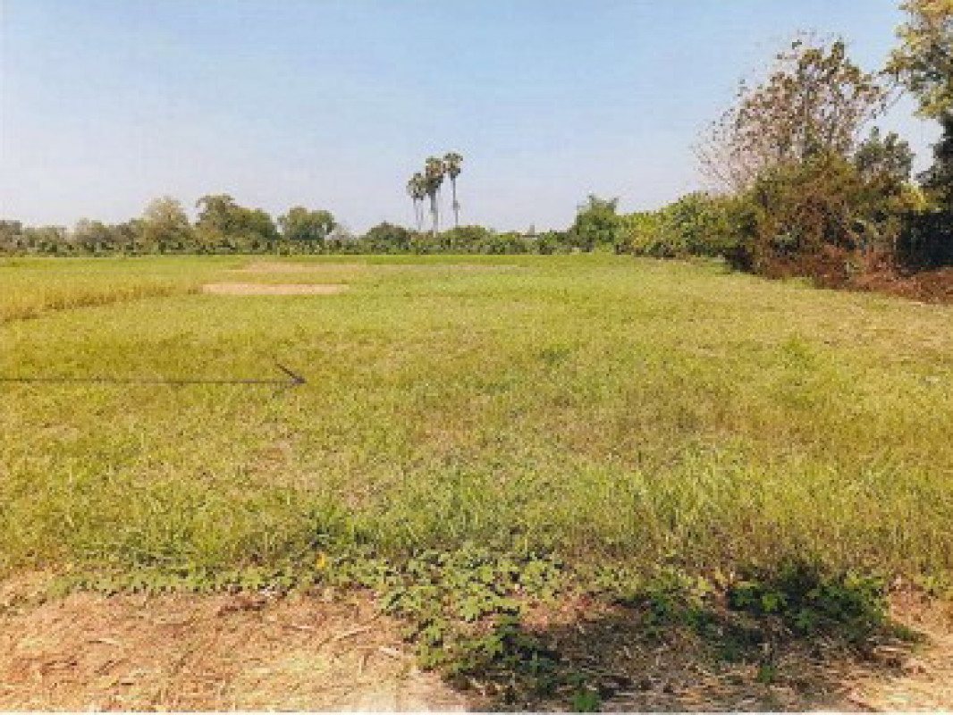ที่ดินเปล่า ราชบุรี โพธาราม หนองโพ 1106950