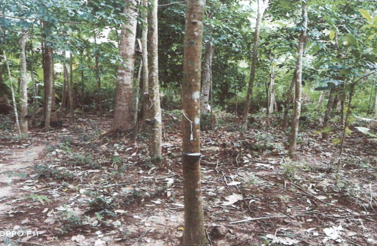 Single house Phatthalung Mueang Phatthalung Chai Buri 326123