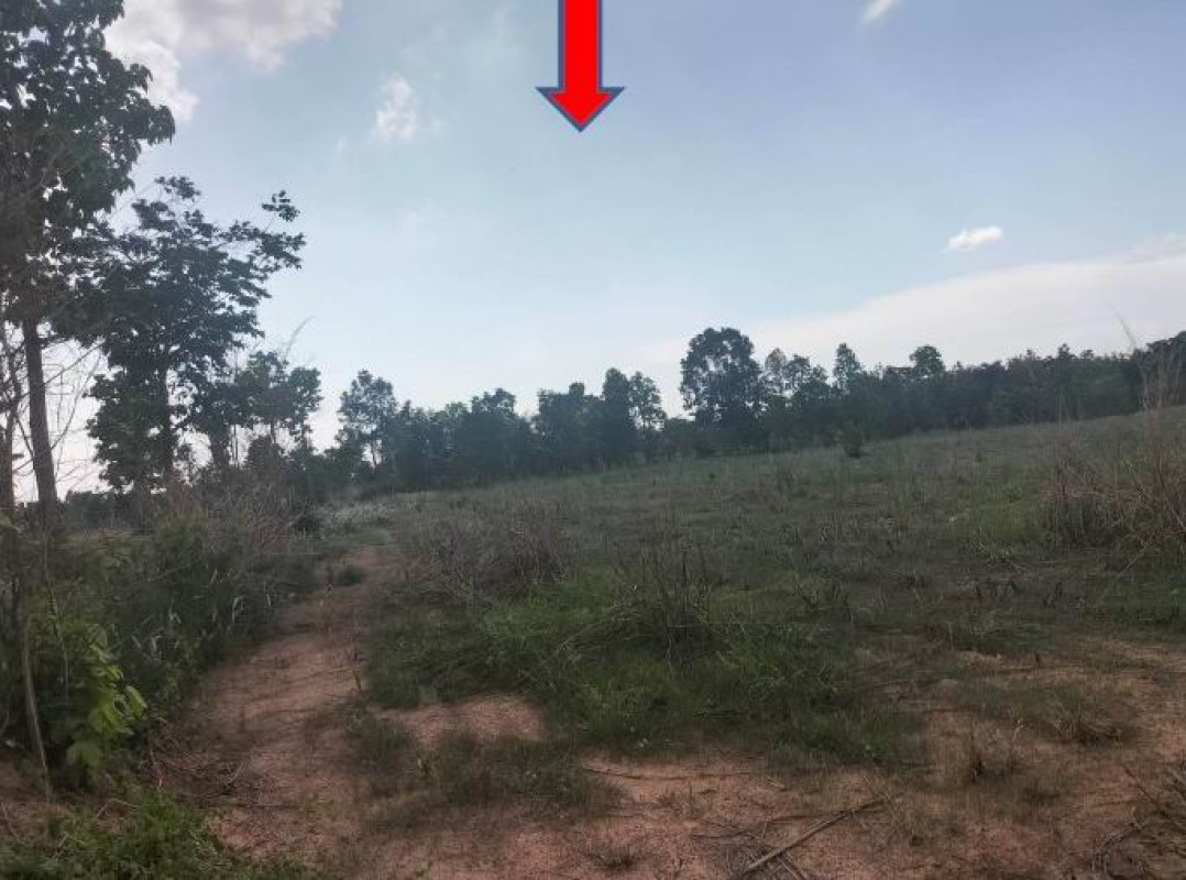 Residential land/lot Udon Thani Phibun Rak Na Sai 350000