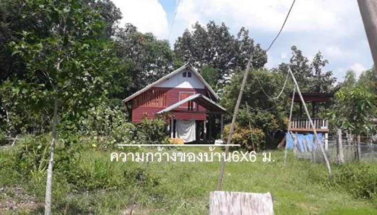 บ้านเดี่ยว มหาสารคาม พยัคฆภูมิพิสัย ลานสะแก 2210240