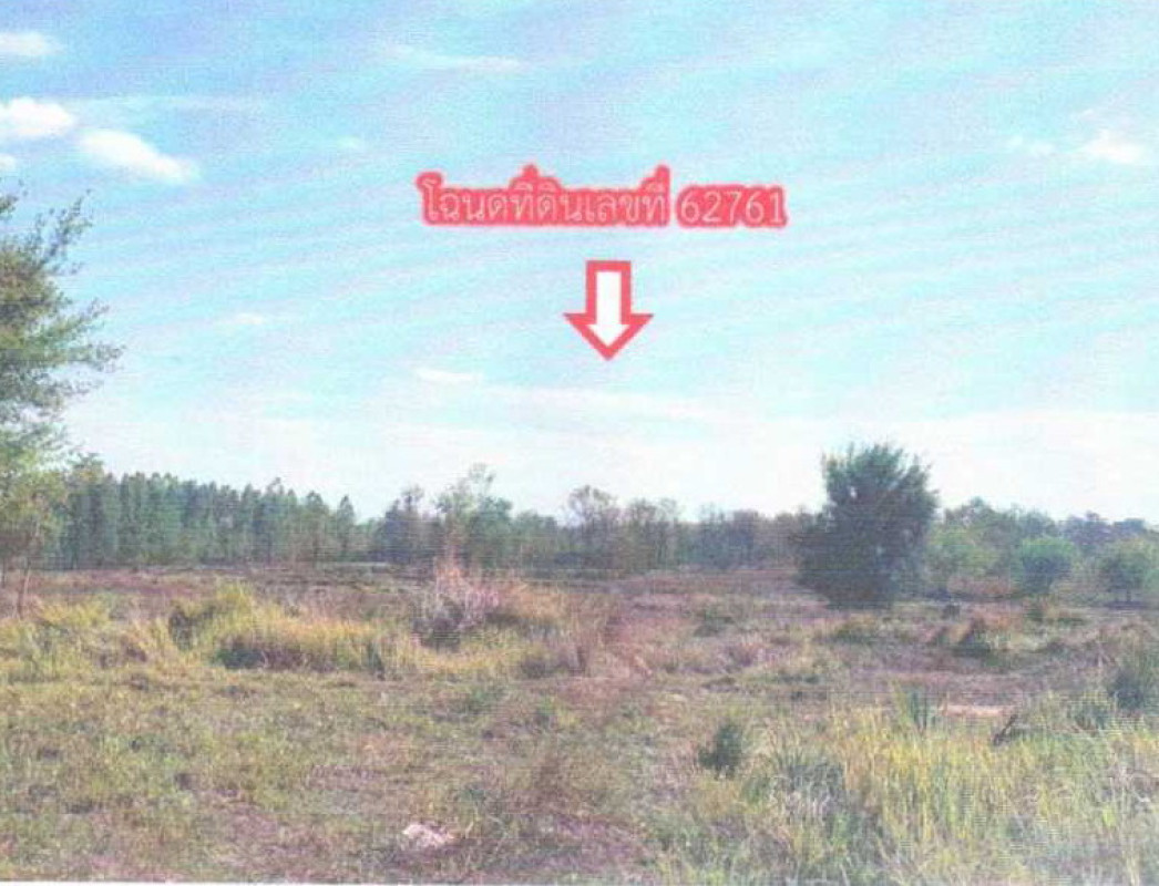 ที่ดินเปล่า หนองบัวลำภู เมืองหนองบัวลำภู ลำภู 362250