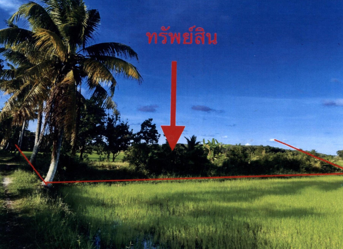 ที่ดินเปล่า พัทลุง เมืองพัทลุง ควนมะพร้าว 78550