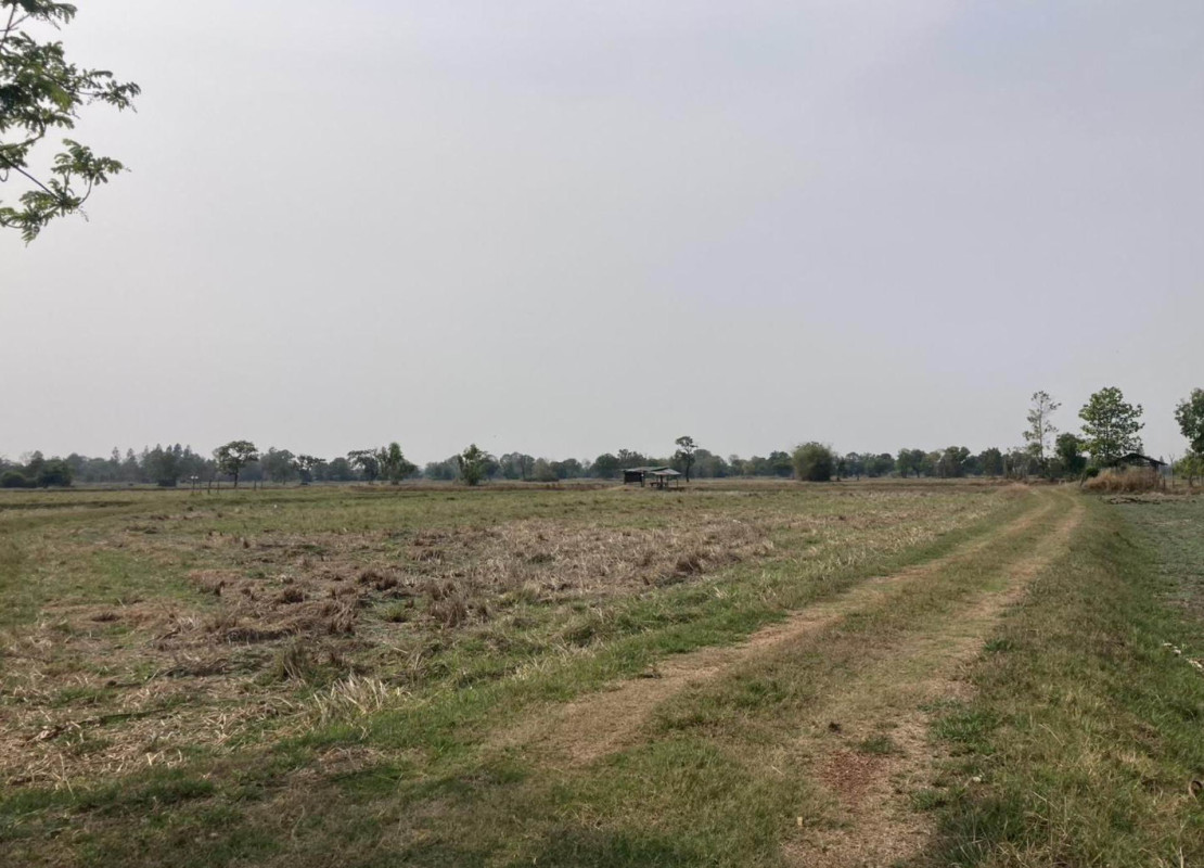 Residential land/lot Maha Sarakham Kantharawichai Khok Phra 160000
