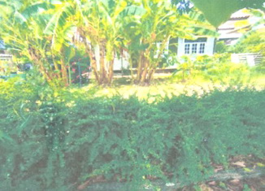 Residential land/lot Nakhon Pathom Mueang Nakhon Pathom Phrong Maduea 3000