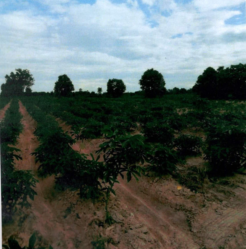 Residential land/lot Kamphaeng Phet Khanu Woralaksaburi Wang Chaphlu 280610