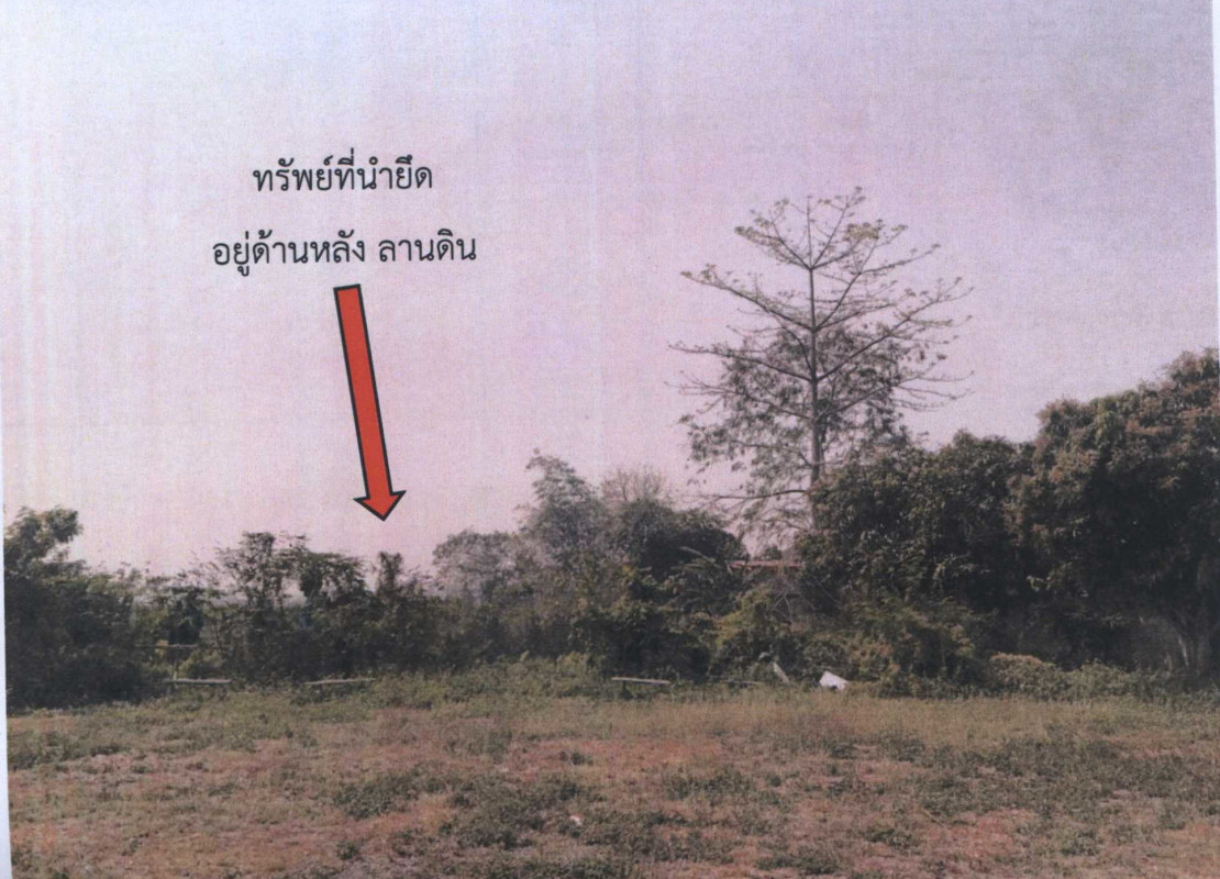 ที่ดินเปล่า พะเยา เมืองพะเยา แม่ต๋ำ 958850