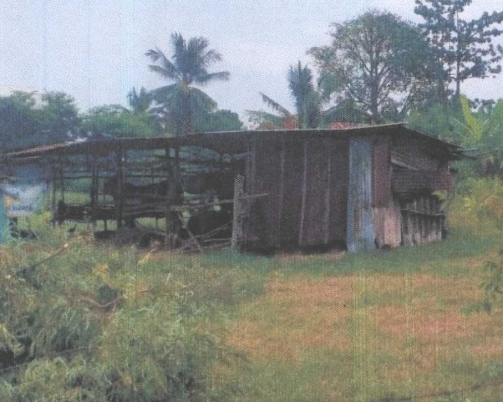 Single house Maha Sarakham Borabue Kamphi 101800