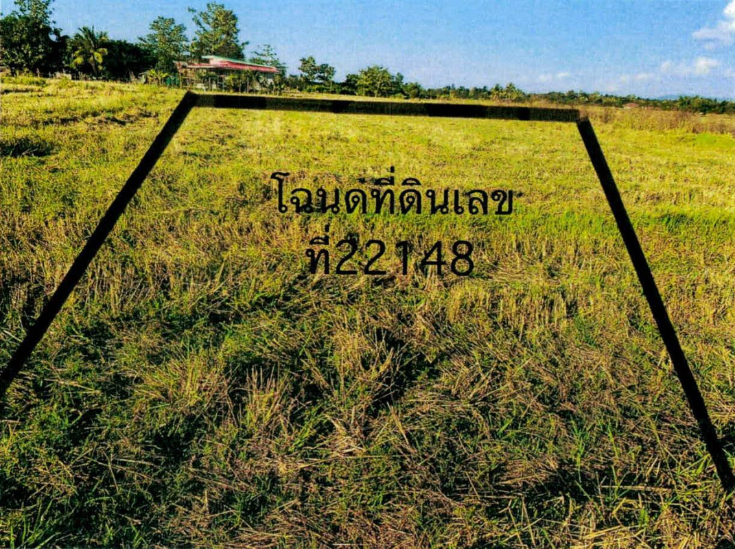 ที่ดินเปล่า ลำปาง แม่ทะ น้ำโจ้ 111500