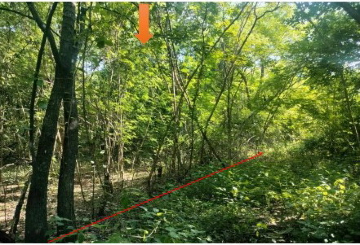 ที่ดินเปล่า เพชรบูรณ์ เมืองเพชรบูรณ์ นางั่ว 204120