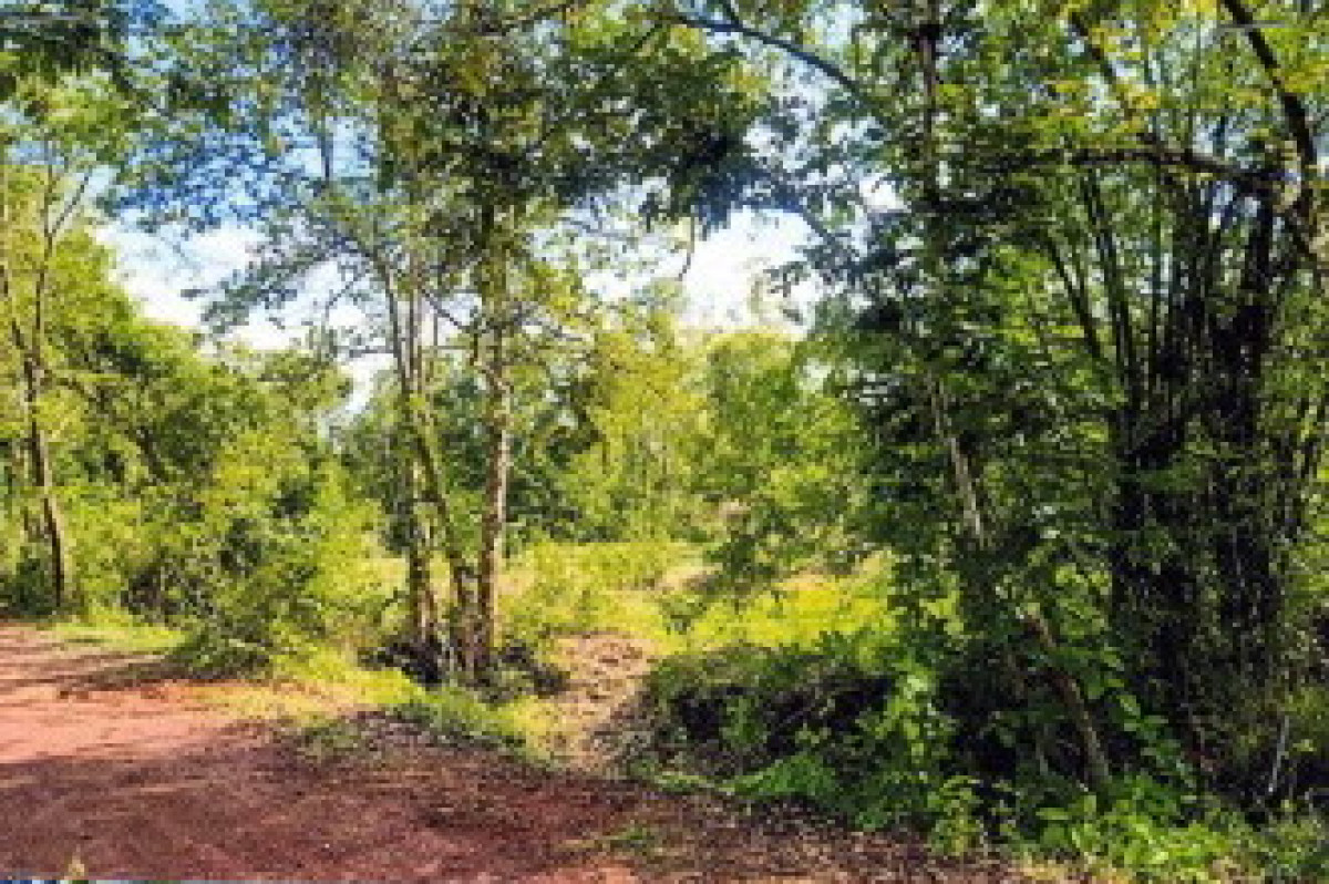 Residential land/lot Sakon Nakhon Wanon Niwat Si Wichai 216710
