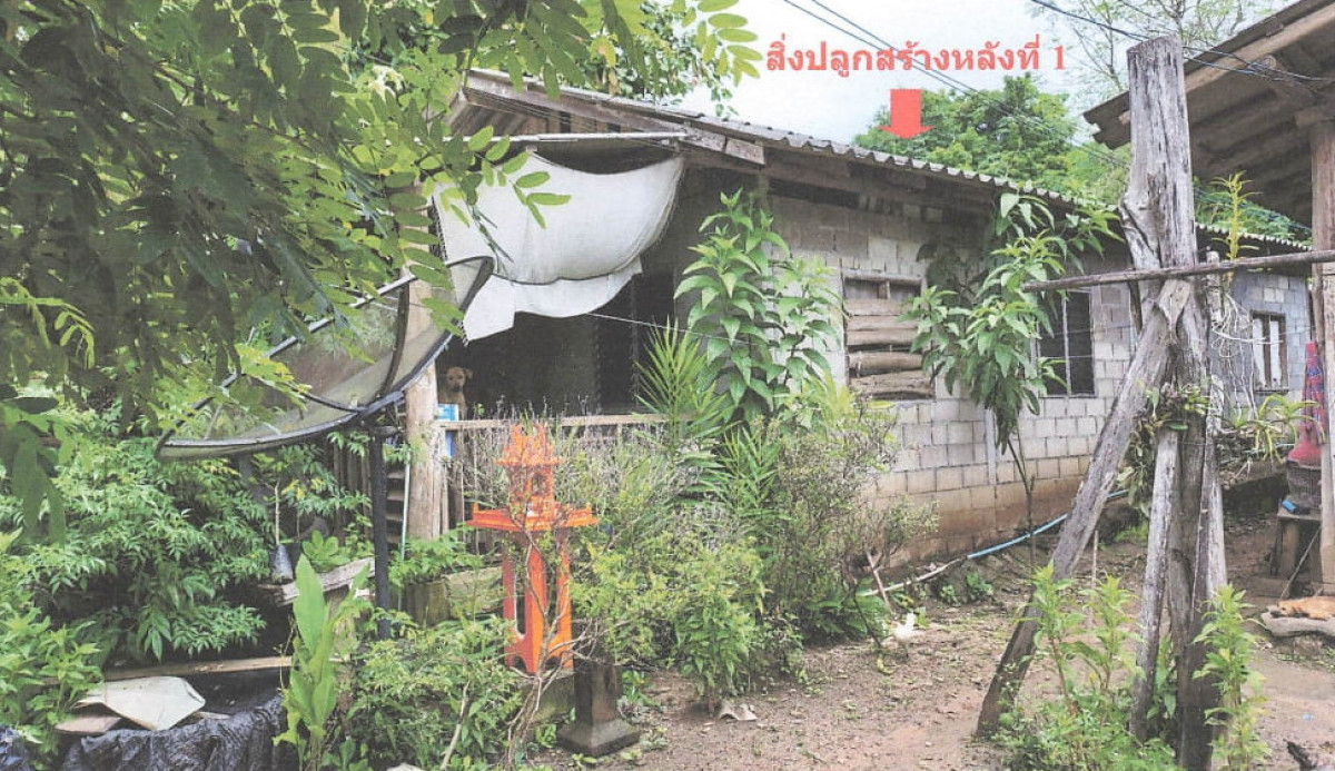 บ้านเดี่ยว เชียงใหม่ แม่แตง กื้ดช้าง 1174920