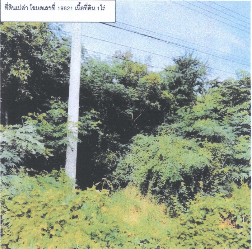 ที่ดินเปล่า สุพรรณบุรี บางปลาม้า มะขามล้ม 520000