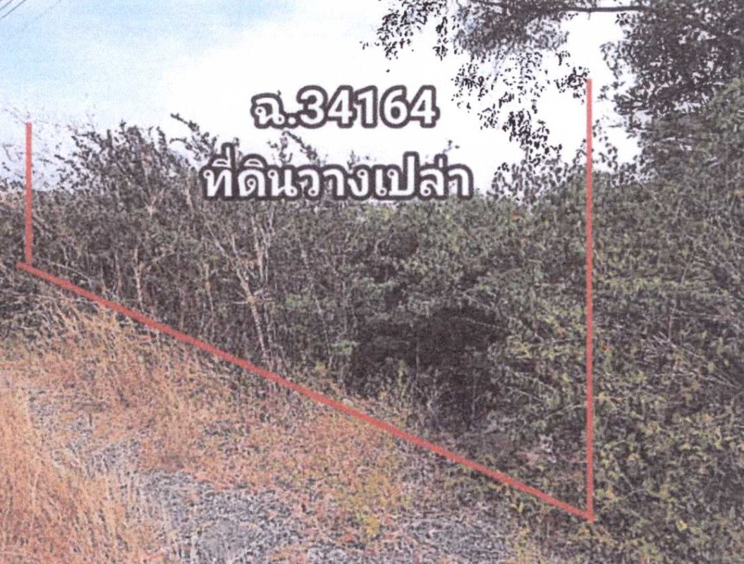 ที่ดินเปล่า พระนครศรีอยุธยา วังน้อย ข้าวงาม 150000