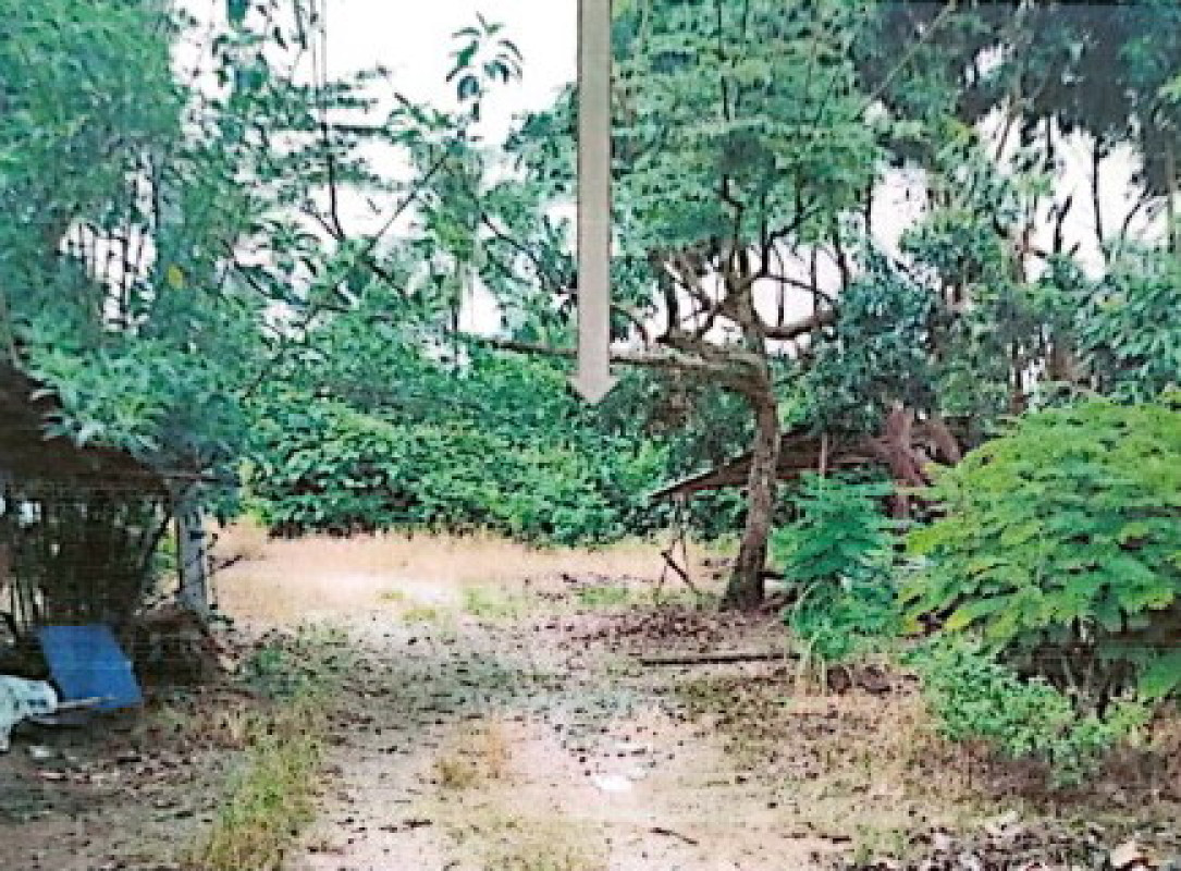 ที่ดินเปล่า อุดรธานี น้ำโสม ศรีสำราญ 35350