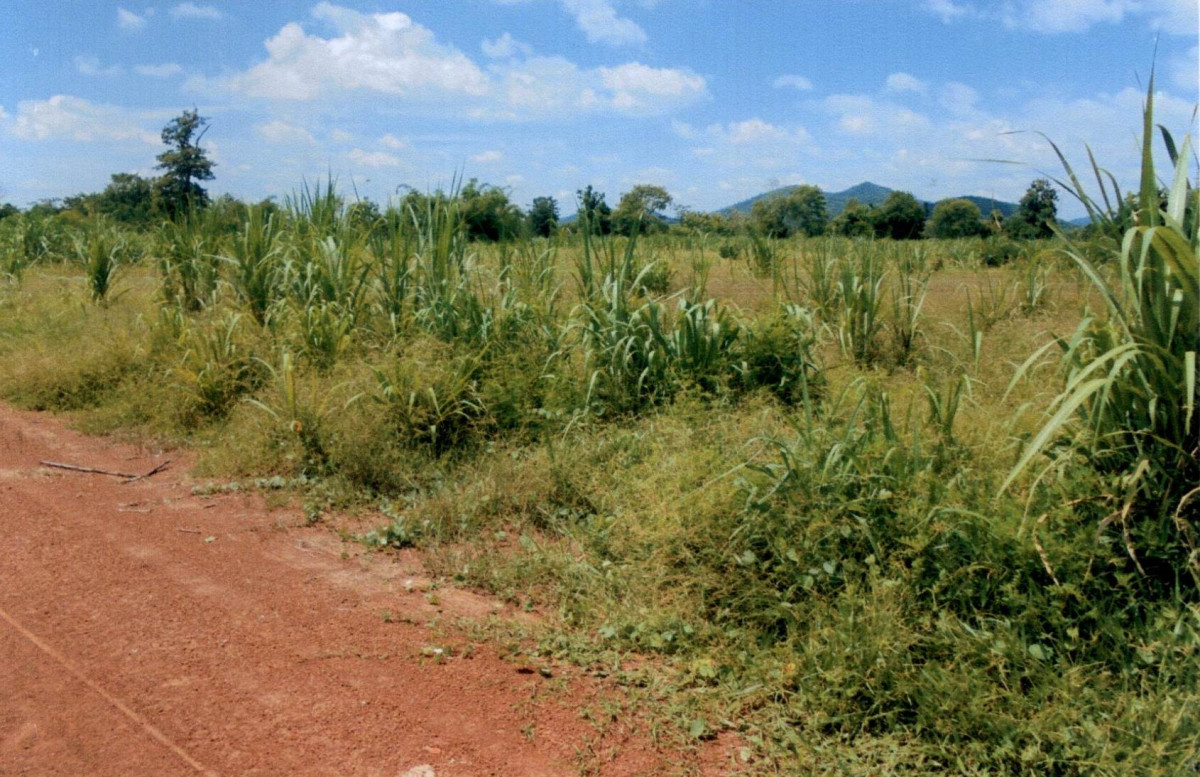 ที่ดินเปล่า หนองบัวลำภู นาวัง นาเหล่า 387600
