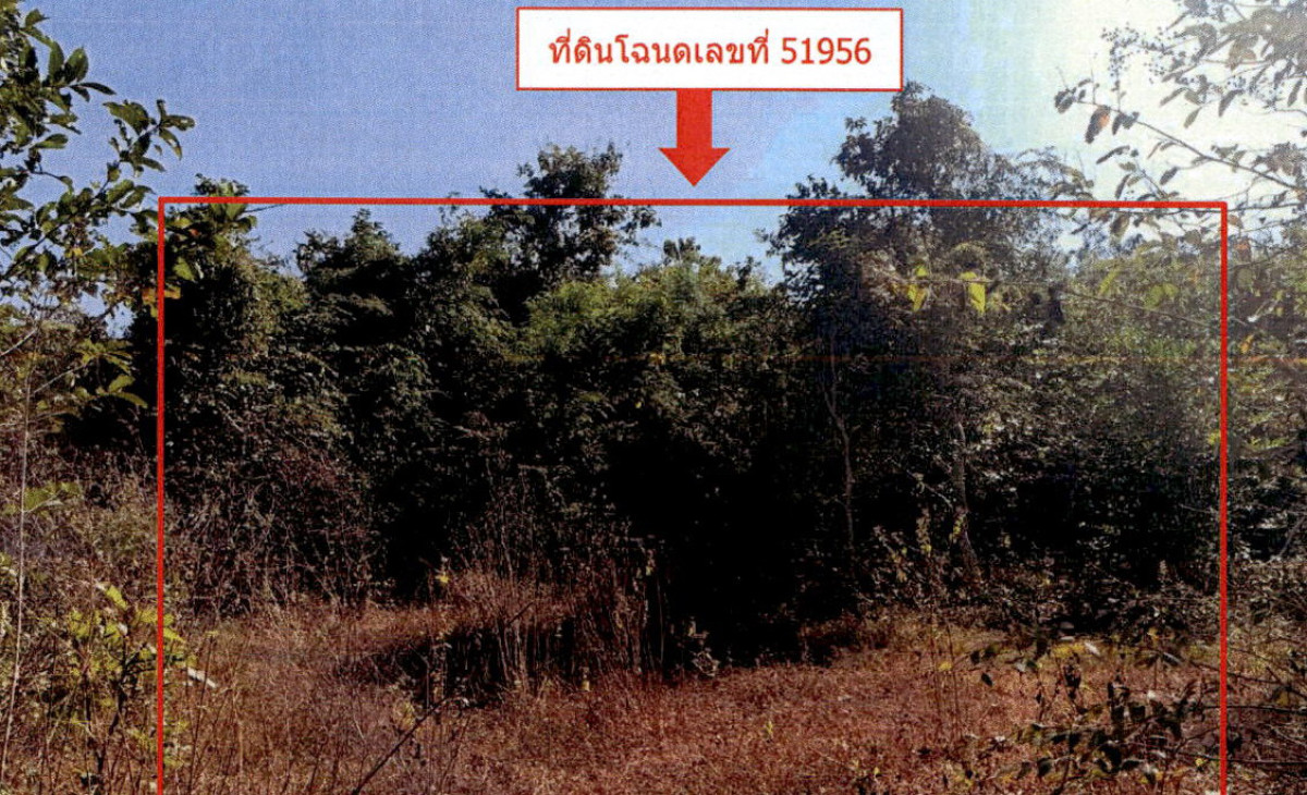 ที่ดินเปล่า ลำปาง เถิน ล้อมแรด 80000