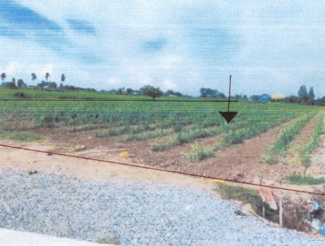 Residential land/lot Suphan Buri Doem Bang Nang Buat Khao Din 445900