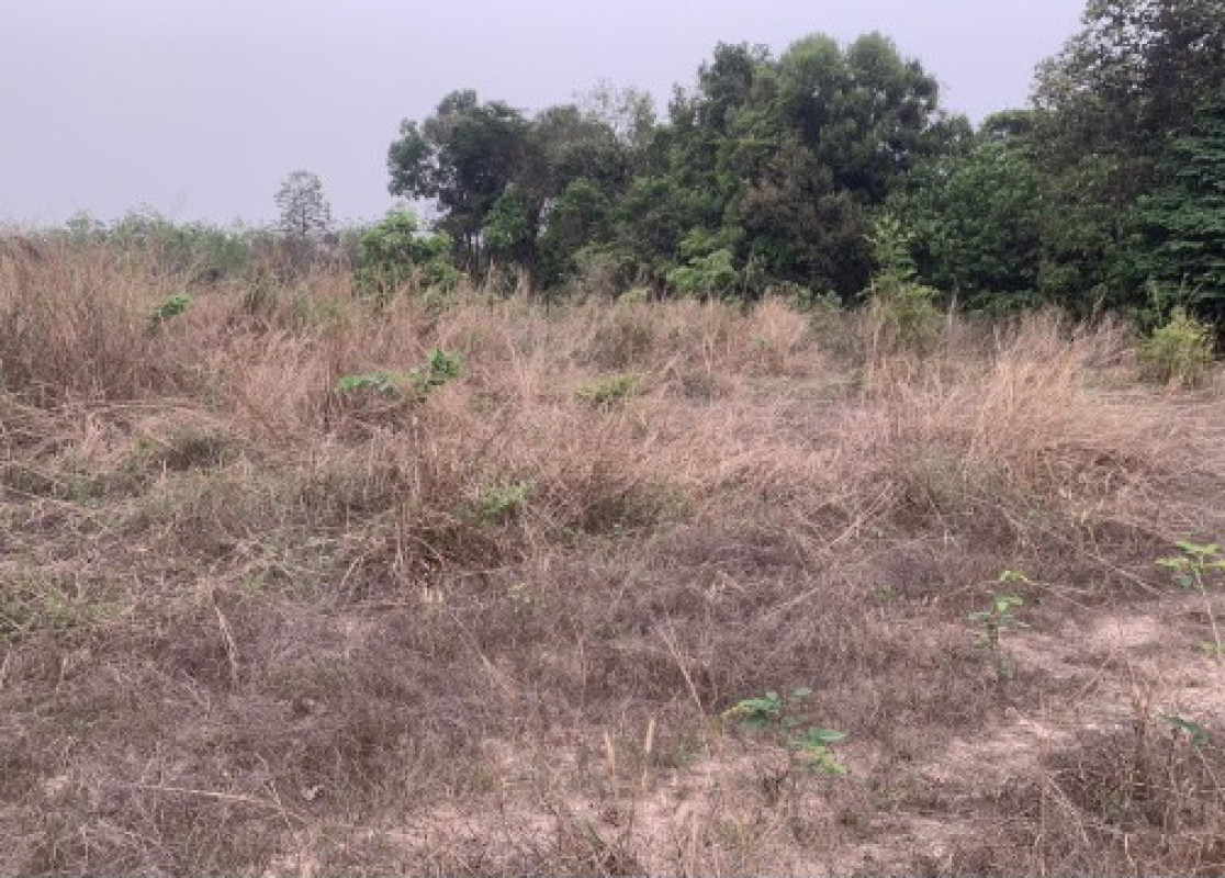 Residential land/lot Sakon Nakhon Sawang Daen Din Sawang Daen Din 63250