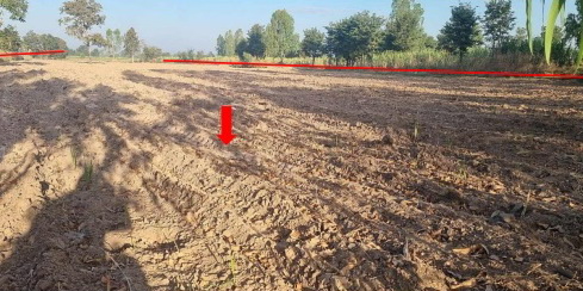 Residential land/lot Kalasin Yang Talat I Tue 1165500