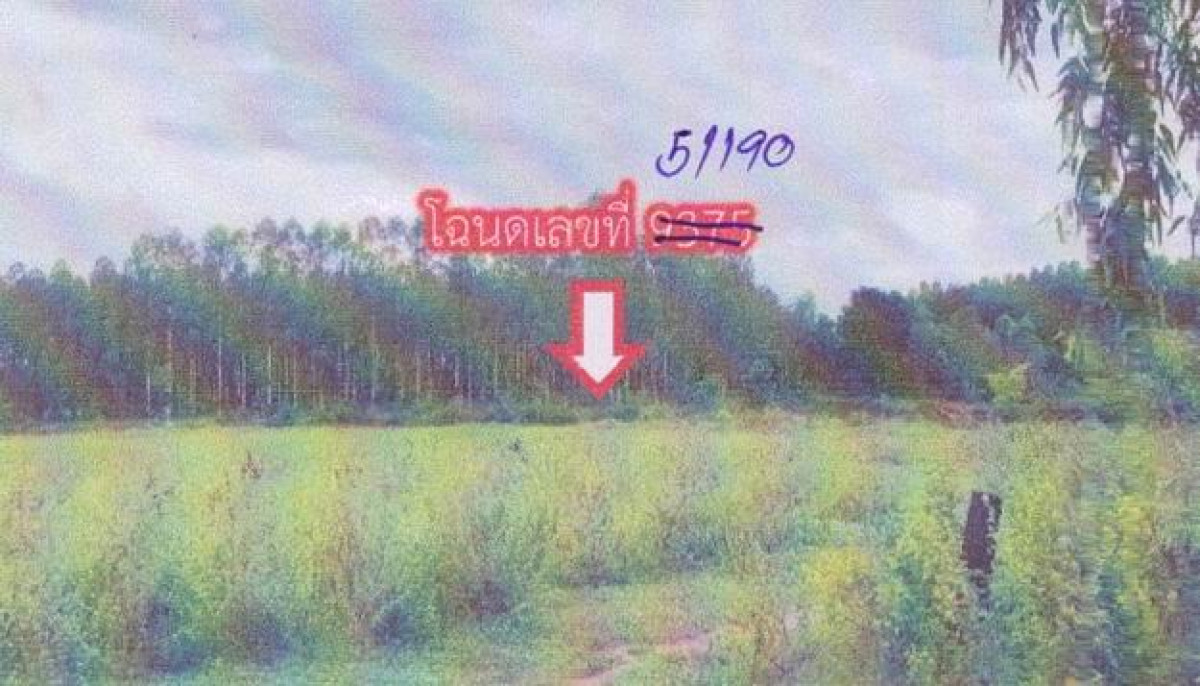 ที่ดินเปล่า หนองบัวลำภู ศรีบุญเรือง เมืองใหม่ 80000