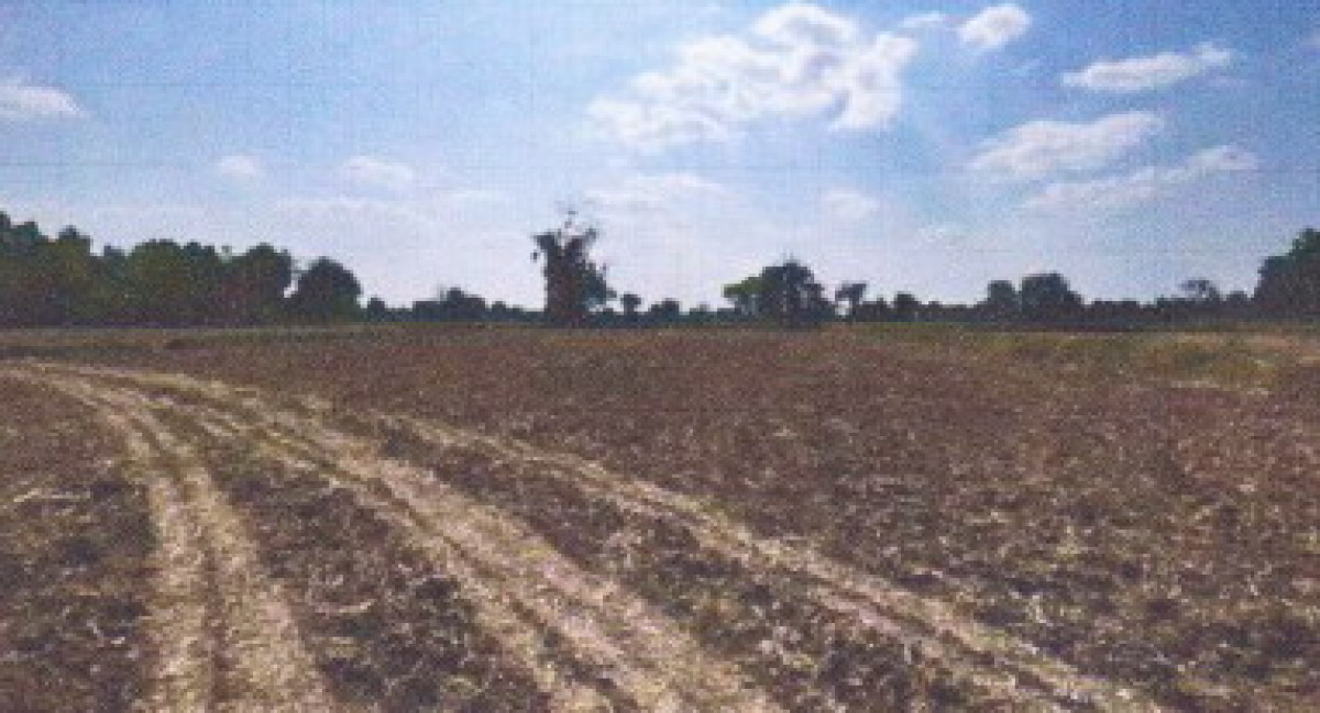 Residential land/lot Nakhon Ratchasima Prathai Mueang Don 542700