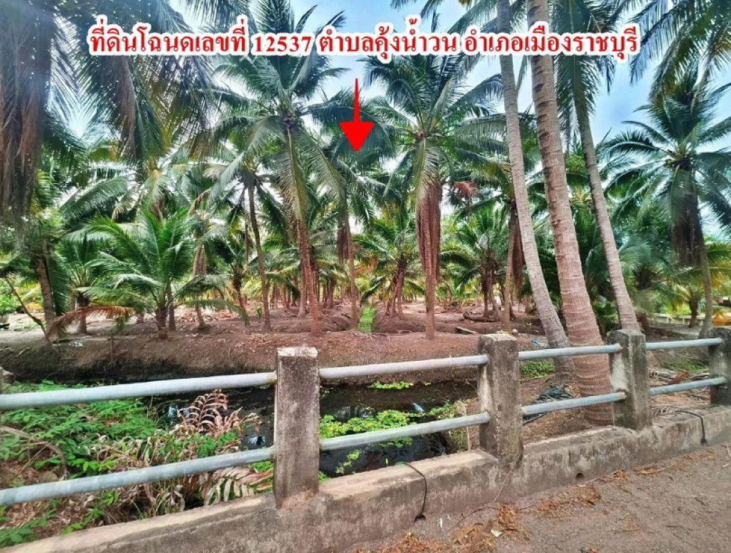 Residential land/lot Ratchaburi Mueang Ratchaburi Khung Nam Won 929650