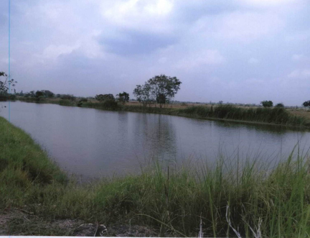 ที่ดินเปล่า พระนครศรีอยุธยา นครหลวง หนองปลิง 975000
