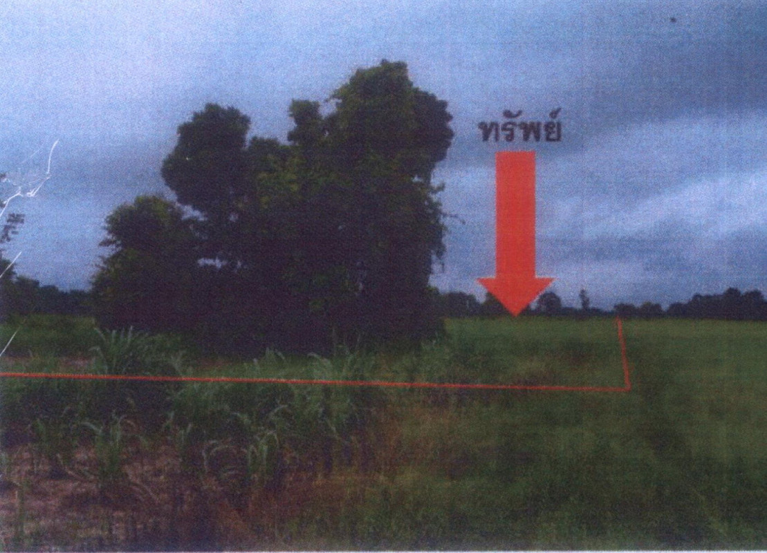 ที่ดินเปล่า กำแพงเพชร ลานกระบือ บึงทับแรต 278400