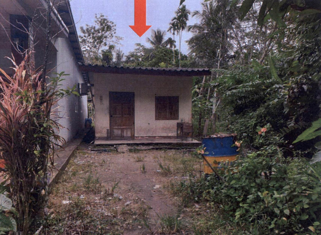 Townhouse Surat Thani Ban Na San Phru Phi 351825