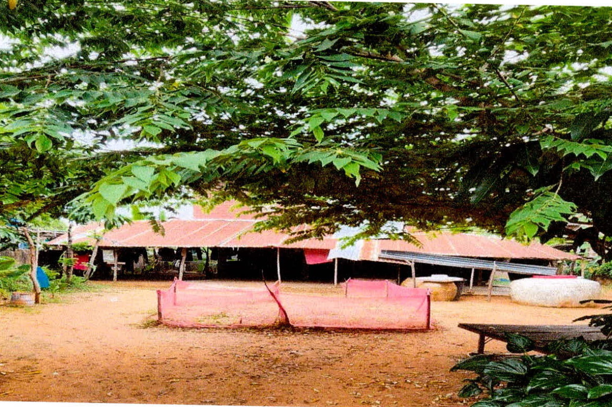 Single house Maha Sarakham Kantharawichai Khewa Yai 131690