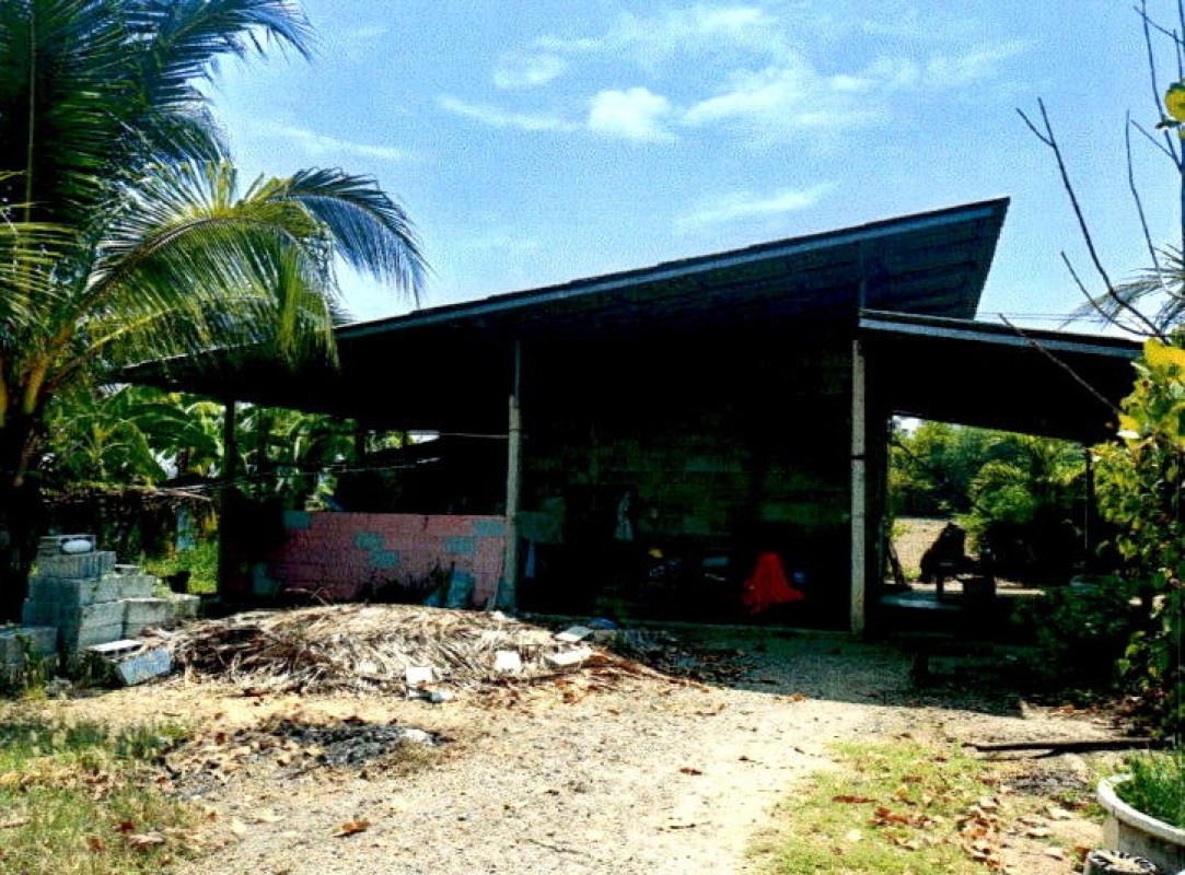 Single house Suphan Buri Si Prachan Plai Na 344320