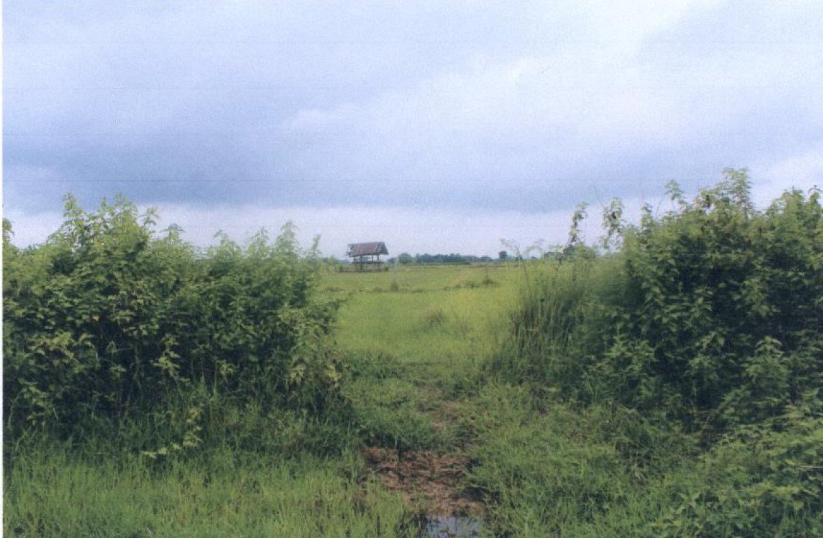 ที่ดินเปล่า แพร่ เมืองแพร่ ทุ่งกวาว 190800