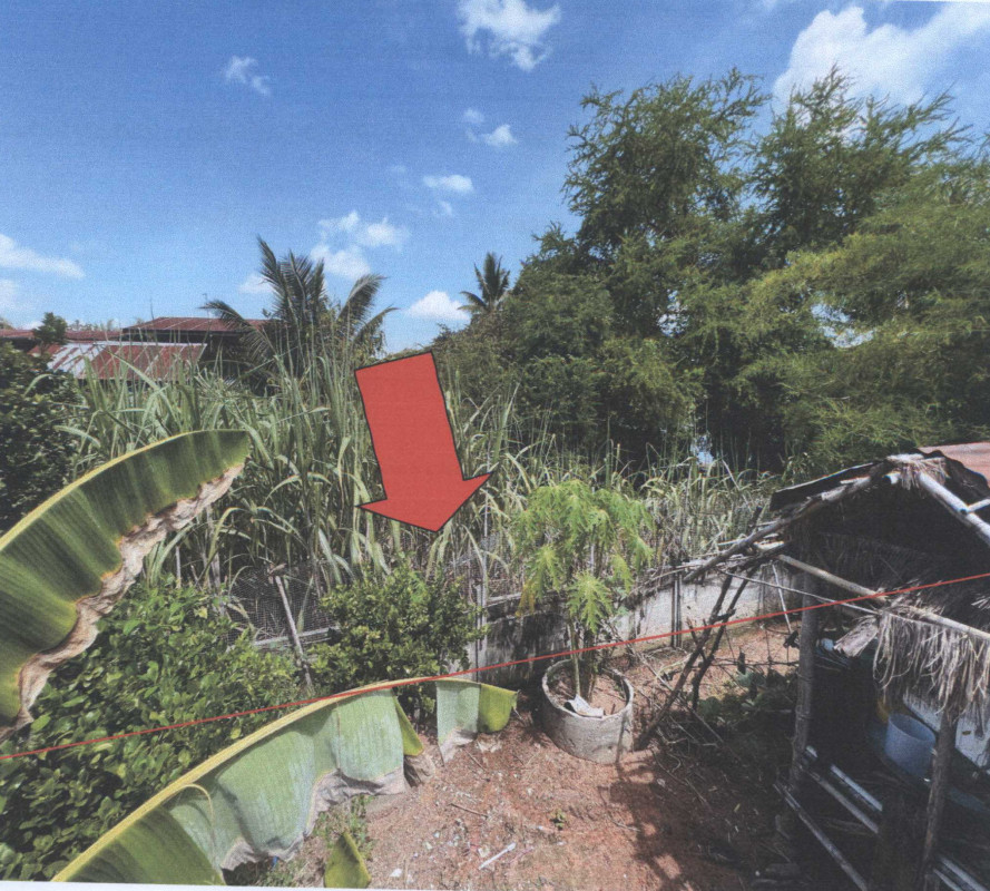 Residential land/lot Maha Sarakham Chiang Yuen Suea Thao 8000