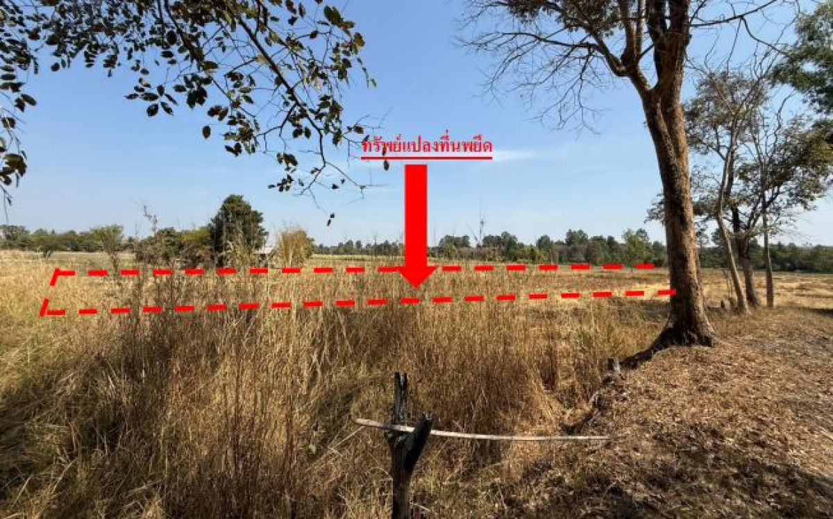 ที่ดินเปล่า อุดรธานี บ้านผือ หายโศก 246975