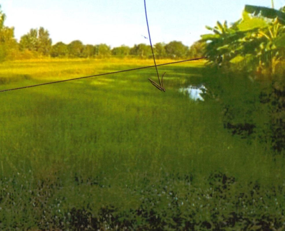 Residential land/lot Maha Sarakham Kantharawichai Khan Than Rat 224740