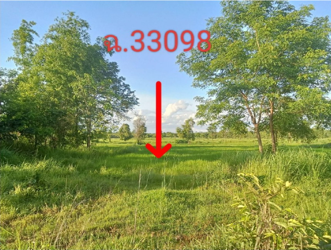 ที่ดินเปล่า สกลนคร วานรนิวาส วานรนิวาส 388310