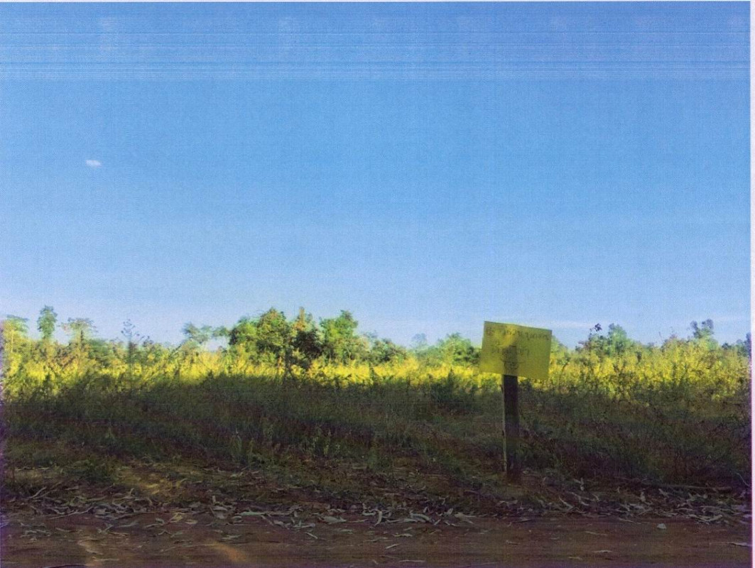 ที่ดินเปล่า หนองบัวลำภู เมืองหนองบัวลำภู หัวนา 448000