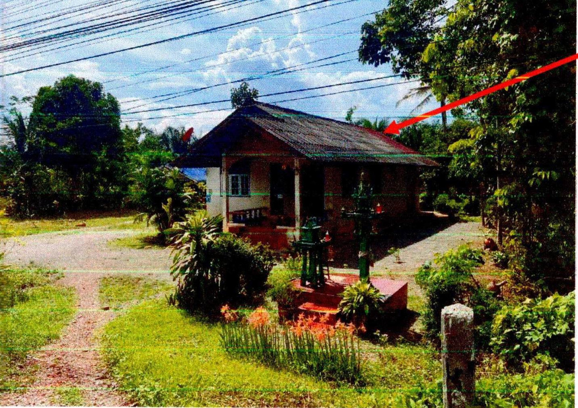 Single house Surat Thani Kanchanadit Chang Khwa 1299300