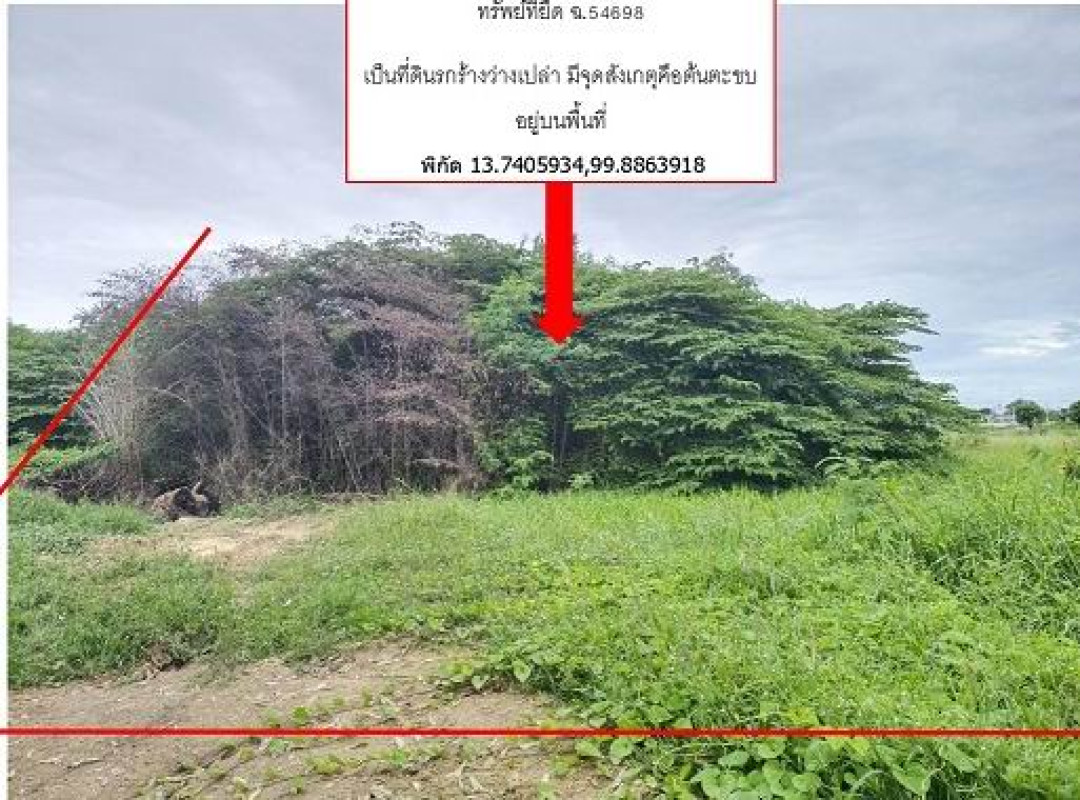 Residential land/lot Ratchaburi Photharam Ban Lueak 265500