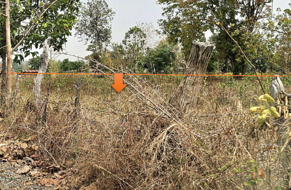 Residential land/lot Maha Sarakham Borabue Wang Chai 1482400