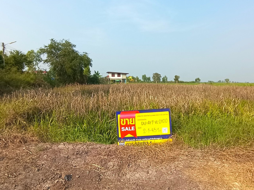 ที่ดินเปล่า ที่ดินเปล่า พระนครศรีอยุธยา บางซ้าย เต่าเล่า 993000