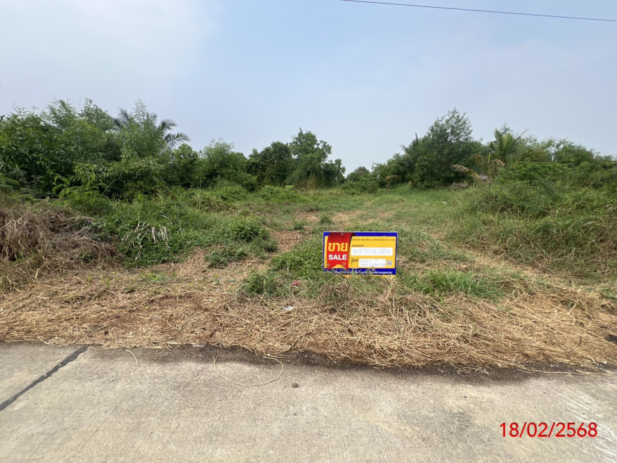ที่ดินเปล่า ชัยพฤกษ์การ์เด้นวิว 5 ปทุมธานี หนองเสือ ศาลาครุ 840000