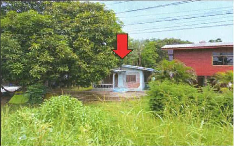 บ้านเดี่ยว นครสวรรค์ เมืองนครสวรรค์ หนองกระโดน 670000