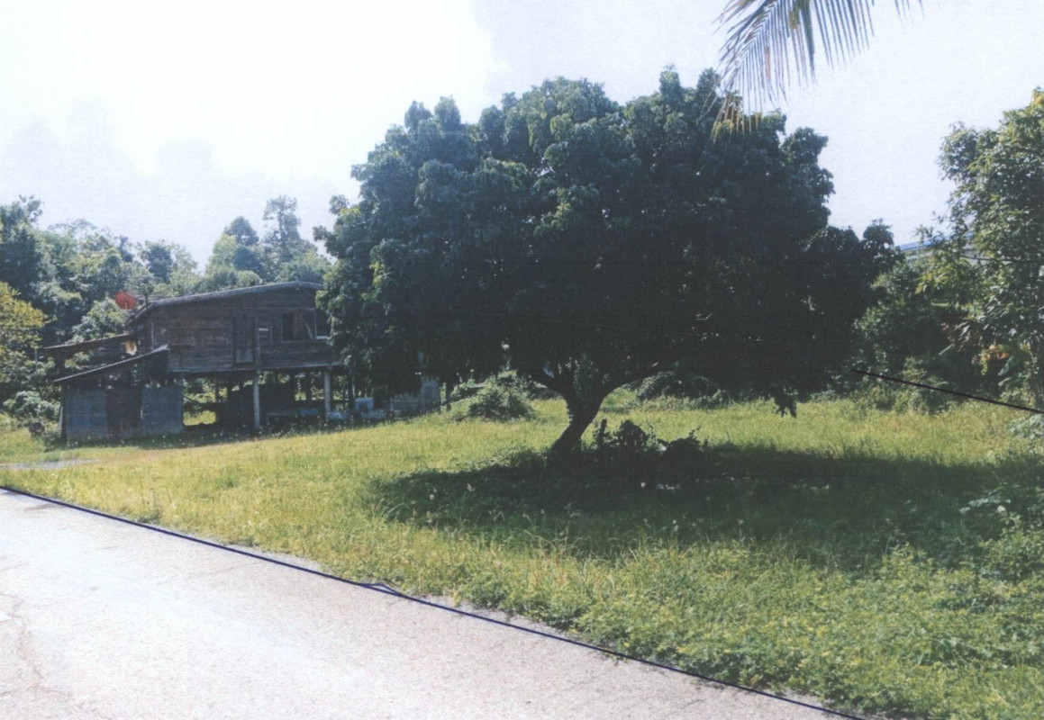 บ้านเดี่ยว พิจิตร โพทะเล ทุ่งน้อย 106776
