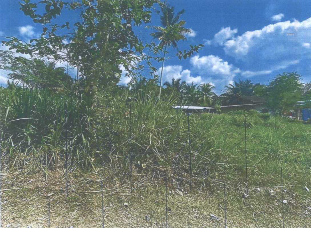 Residential land/lot Surat Thani Wiang Sa Thung Luang 16560