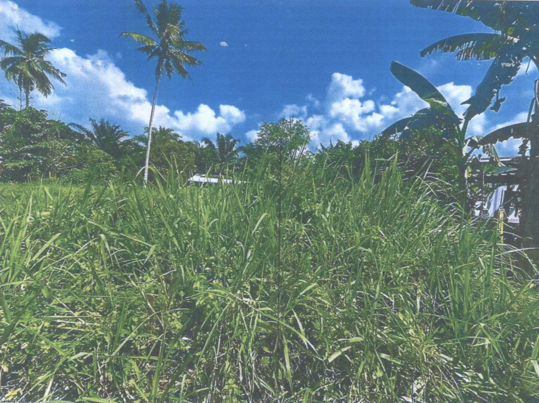 Residential land/lot Surat Thani Wiang Sa Thung Luang 13380